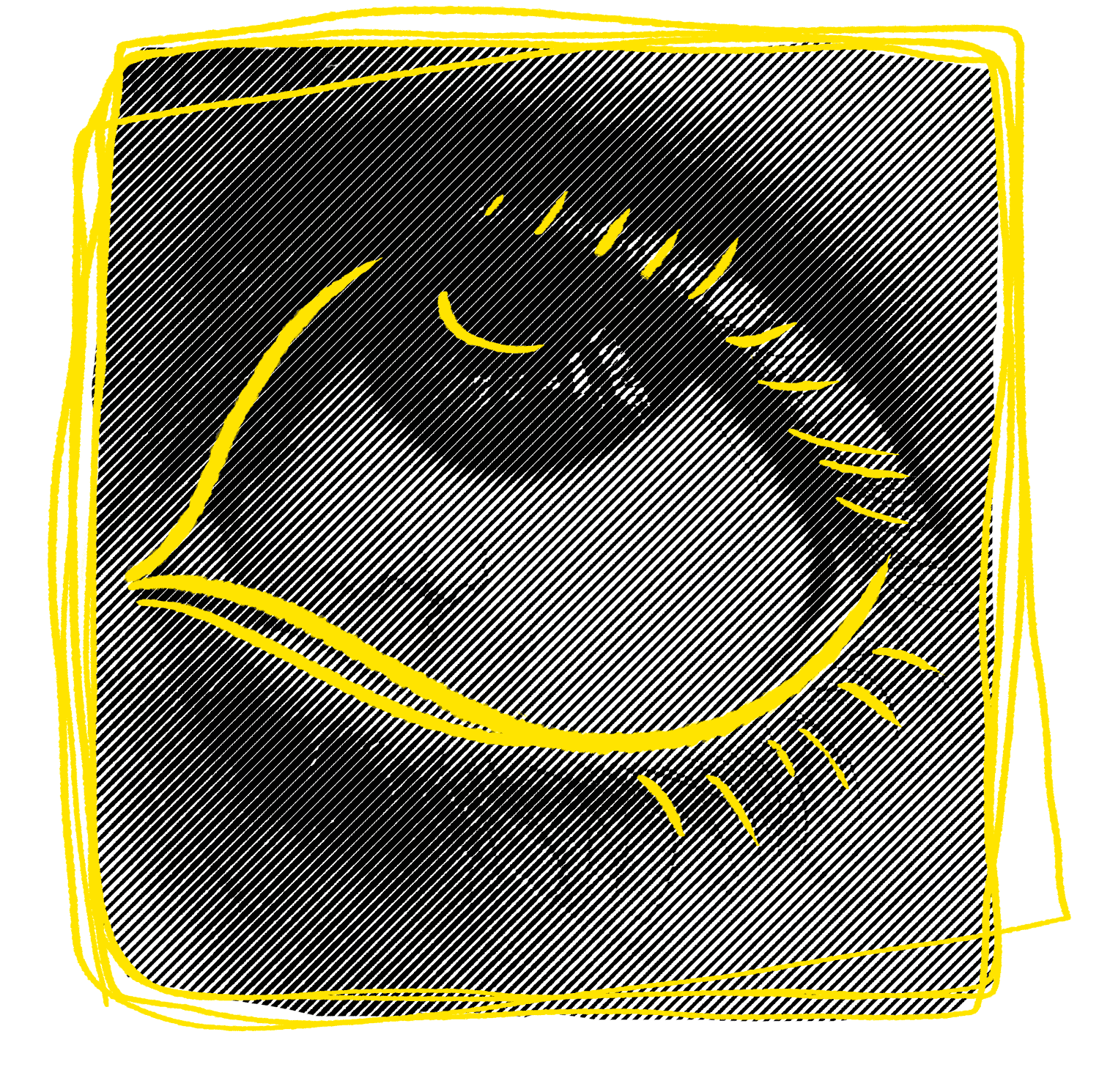 Oeil