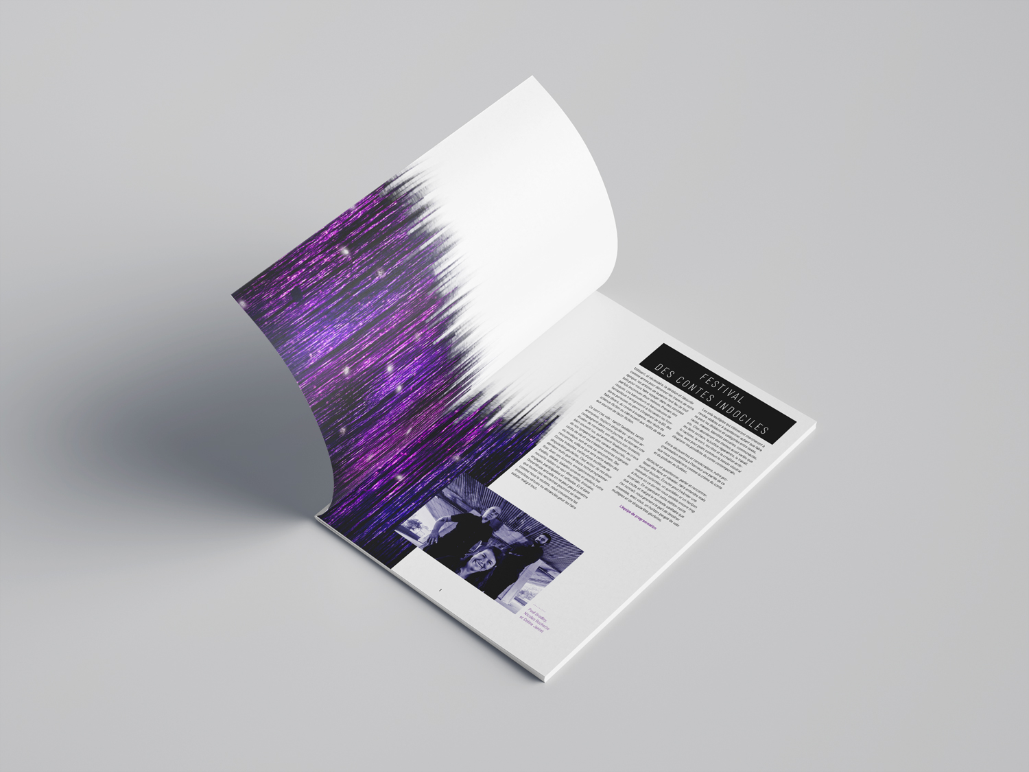 Programmation sommaire